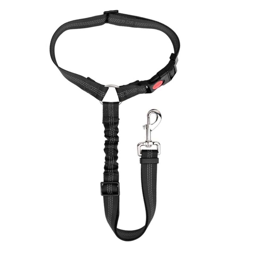 Correa Leash Para Mascotas Pro Outdoor